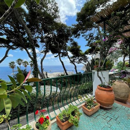 カプリTerrazza Mare Marina Piccolaアパートメント エクステリア 写真