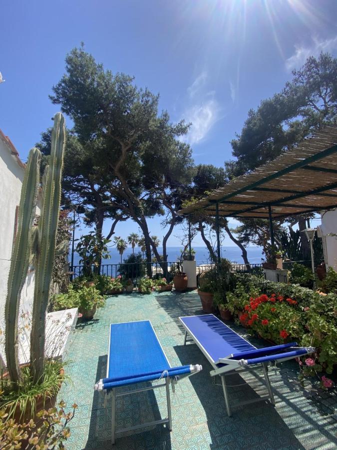 カプリTerrazza Mare Marina Piccolaアパートメント エクステリア 写真